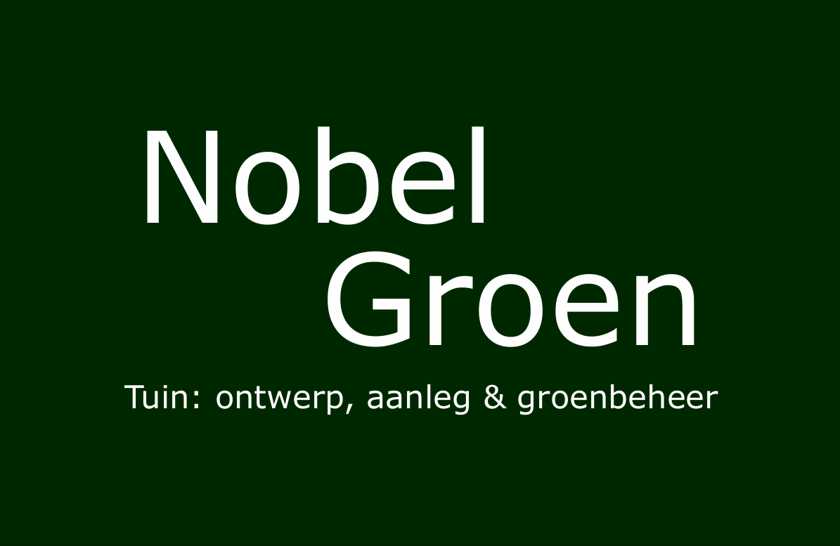 Nobel Groen Logo